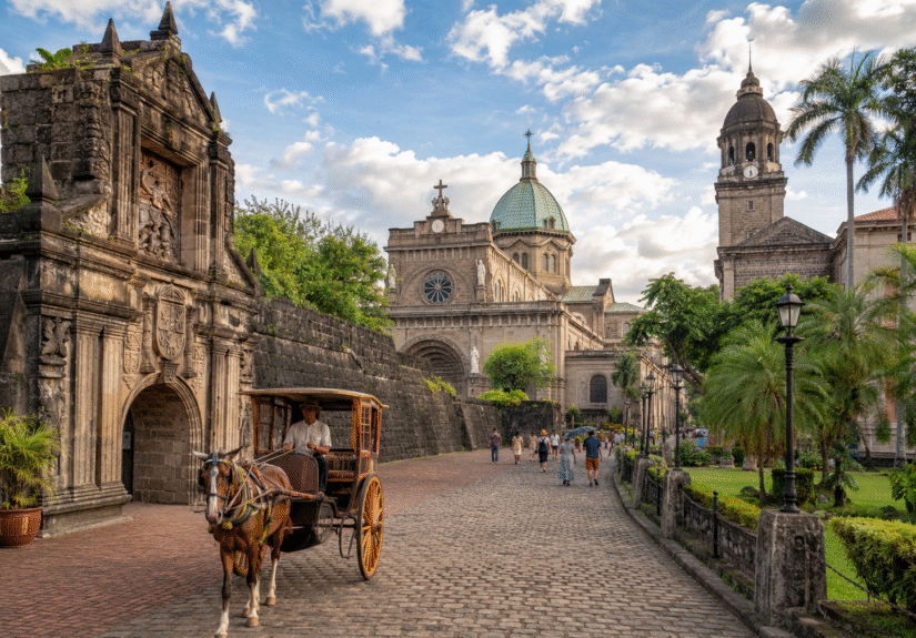 Historic city view with horse carriage