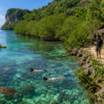 The beauty of tropical nature on the beach